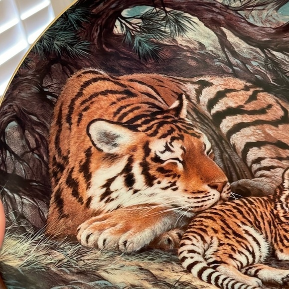 The Siberian Tiger Will Nelson Vintage Last of Their Kind Endangered Plate - Picture 10 of 16